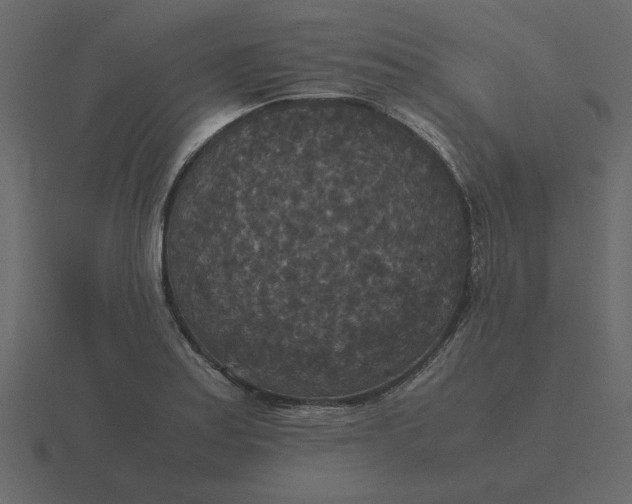 X0000116581179200912241648