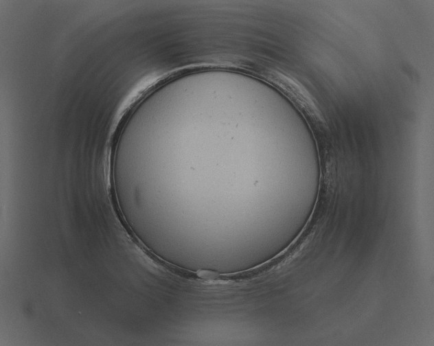 X0000116581180200912241648