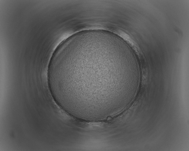 X0000116581181200912241648