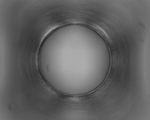 X0000116581182200912241648