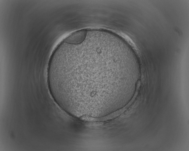 X0000116581183200912241648