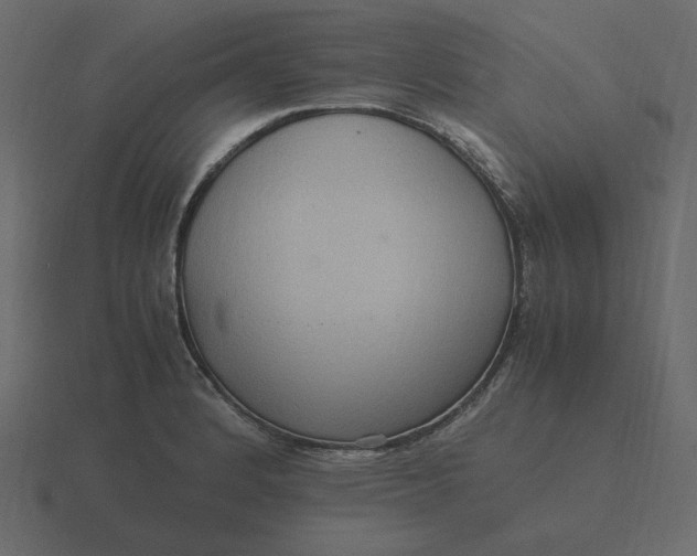 X0000116581184200912241648