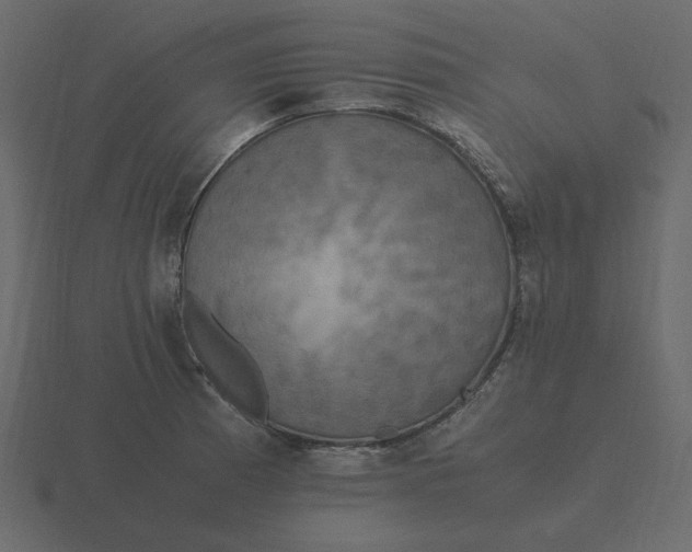 X0000116581185200912241648