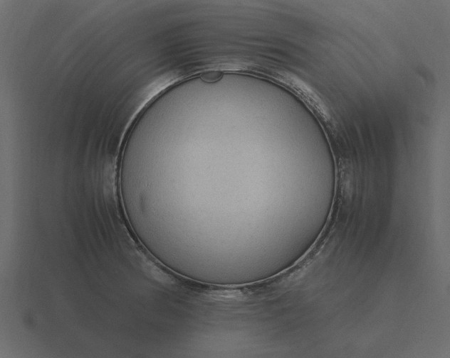 X0000116581186200912241648