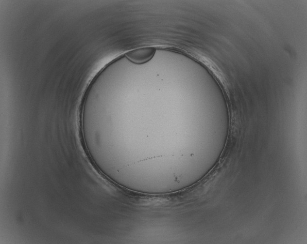 X0000116581187200912241648