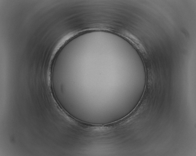 X0000116581188200912241648