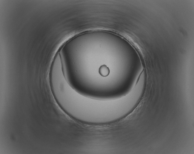 X0000116581189200912241648