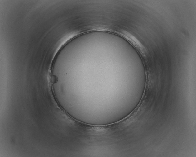 X0000116581190200912241648