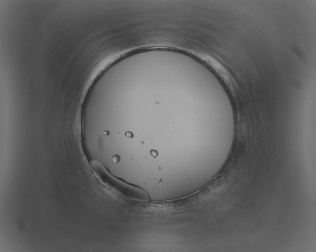 X0000116581191200912241648