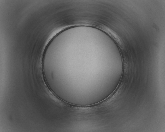 X0000116581192200912241648