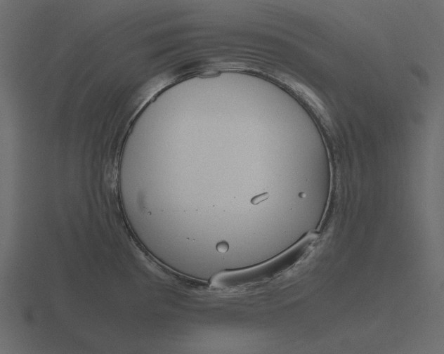 X0000116581193200912241648