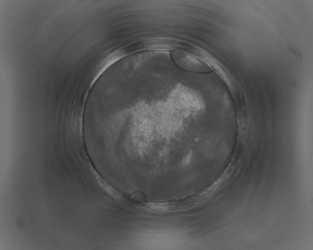 X0000116581194200912241648