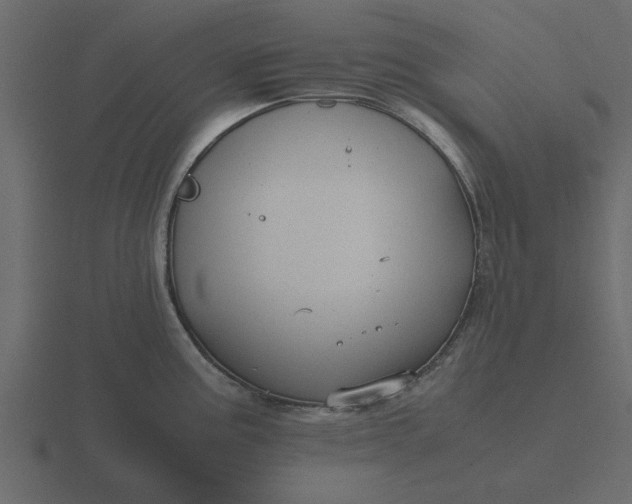 X0000116581195200912241648