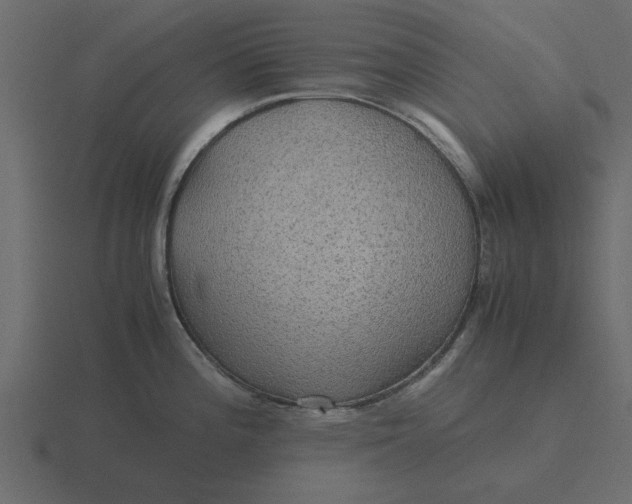 X0000116581196200912241648