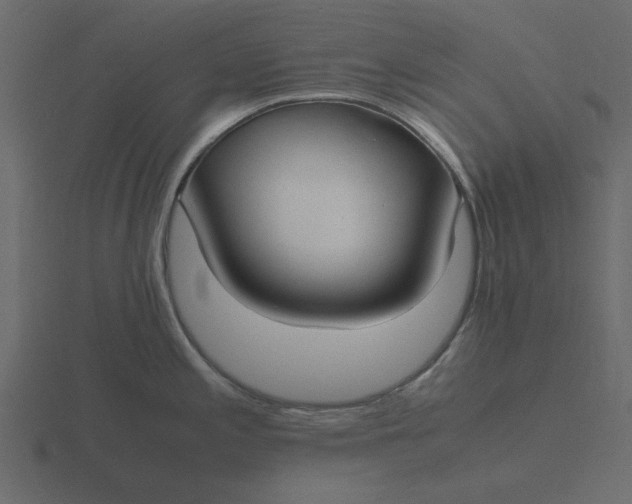 X0000116581197200912241648