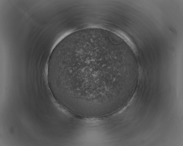 X0000116581198200912241648