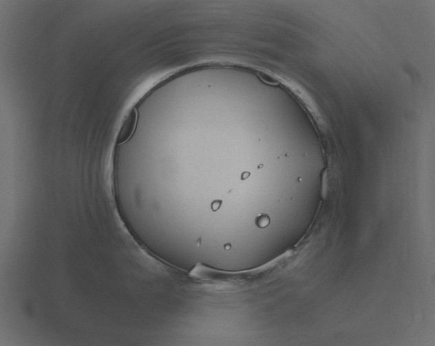 X0000116581199200912241648