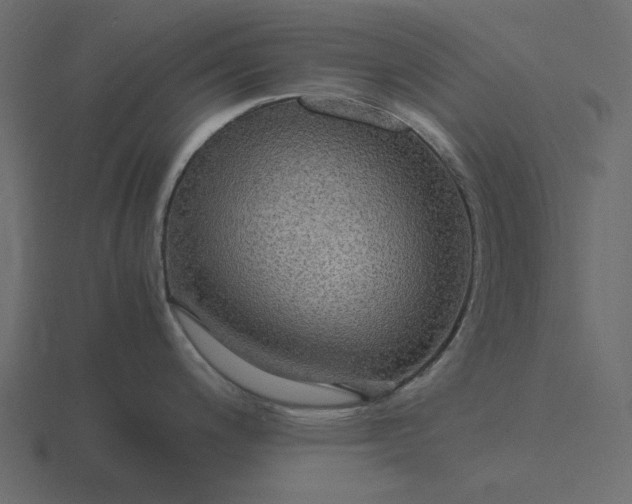 X0000116581200200912241648