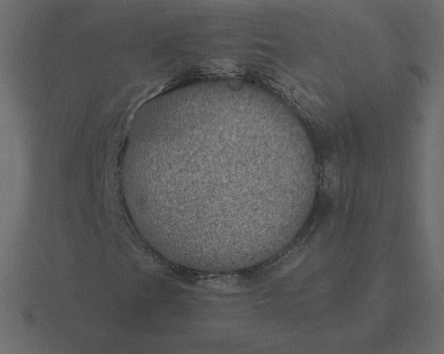 X0000116581201200912241647