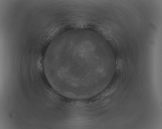 X0000116581202200912241647