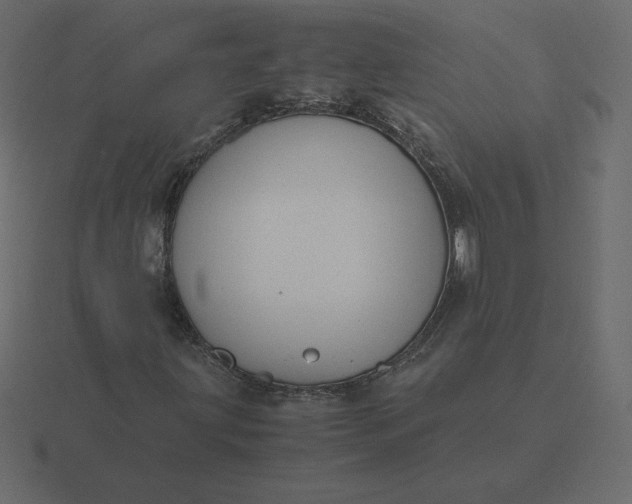 X0000116581203200912241647