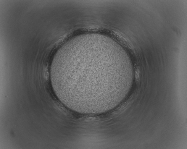 X0000116581204200912241647