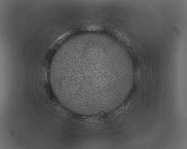 X0000116581205200912241647