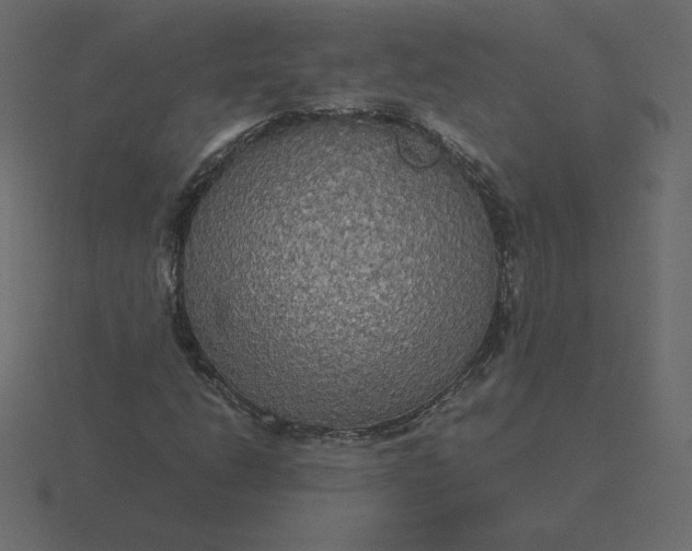 X0000116581206200912241647