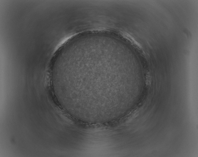 X0000116581208200912241647