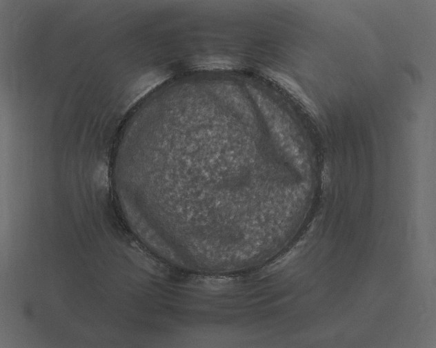 X0000116581209200912241647