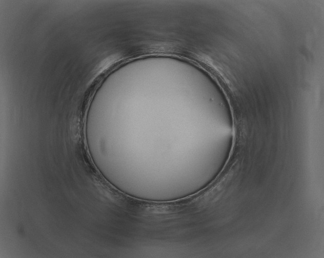 X0000116581211200912241647