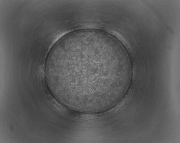 X0000116581212200912241647