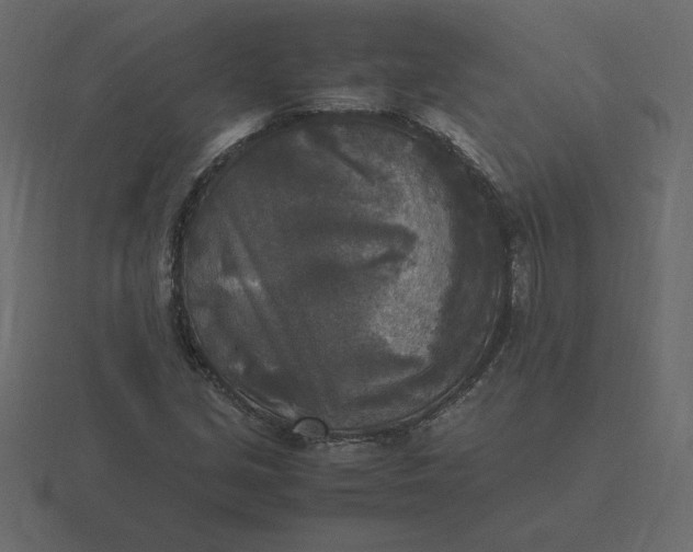 X0000116581213200912241647