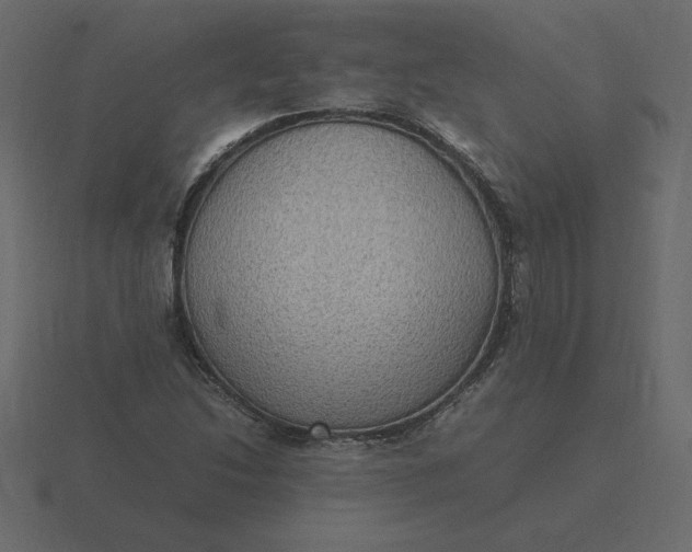 X0000116581214200912241647