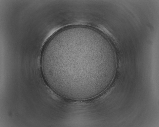 X0000116581216200912241647