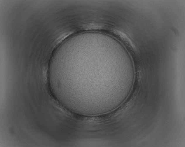 X0000116581217200912241647