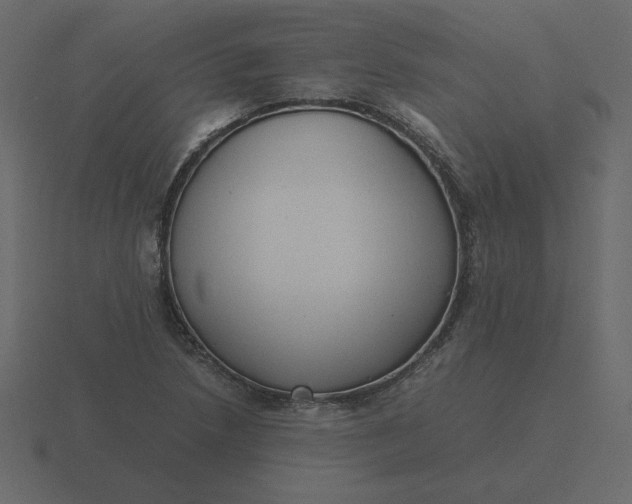 X0000116581218200912241648