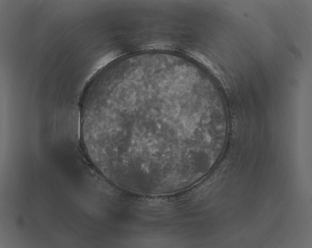 X0000116581219200912241648