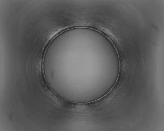 X0000116581220200912241648