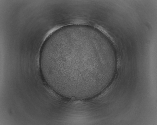 X0000116581222200912241648