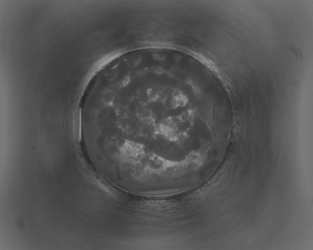 X0000116581223200912241648