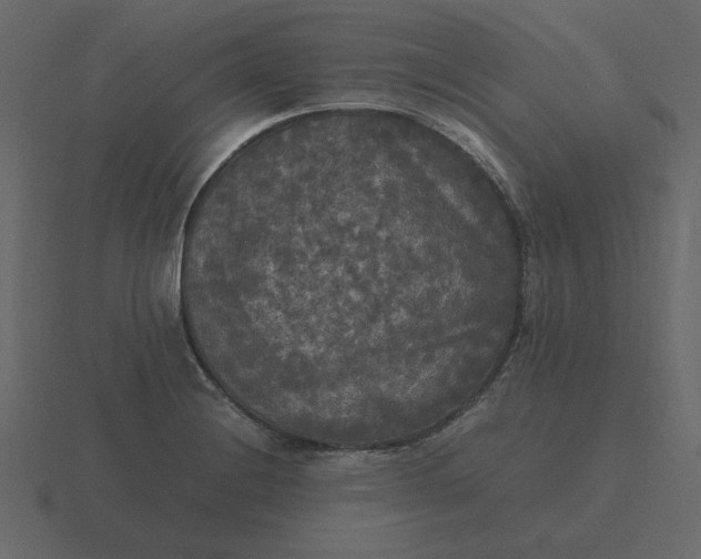 X0000116581228200912241648