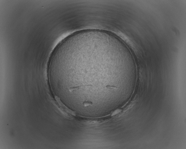 X0000116581230200912241648