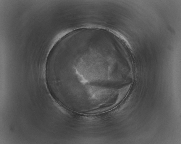 X0000116581231200912241648