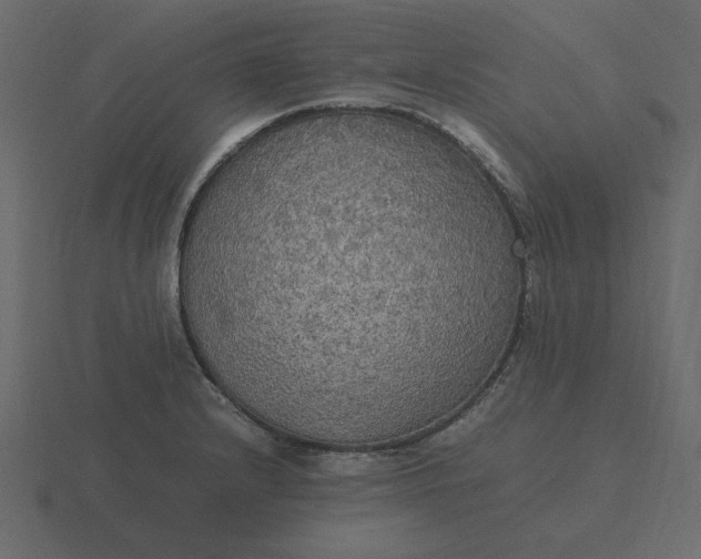 X0000116581232200912241648