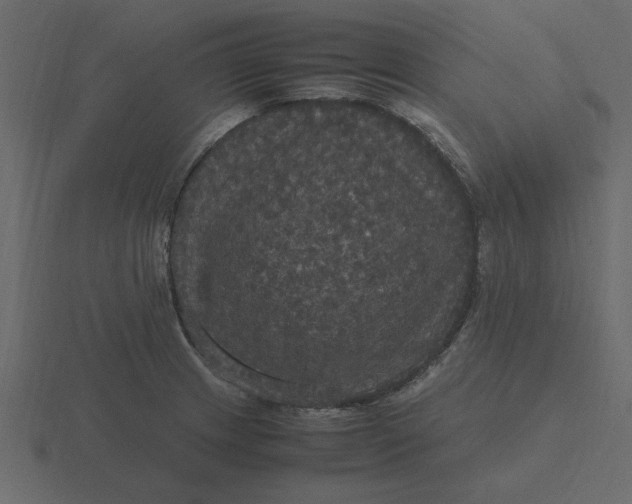 X0000116581233200912241648