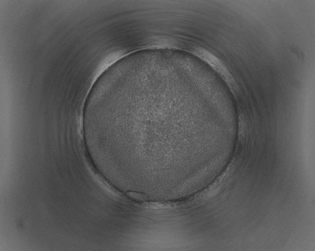 X0000116581234200912241648