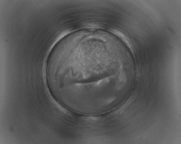 X0000116581235200912241648