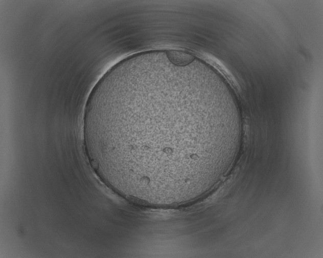 X0000116581236200912241648