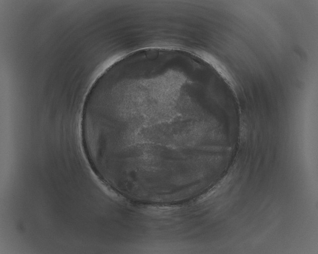 X0000116581237200912241648